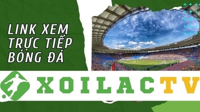 xoilac-tv.icu: Đắm chìm trong thế giới Chelsea cùng Xoilac TV